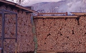 Brennholz