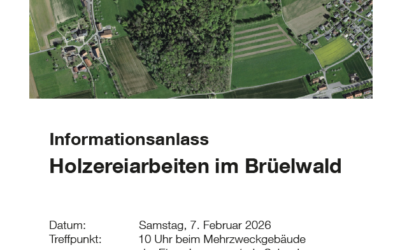 Informationsanlass Holzereiarbeiten Brüelwald
