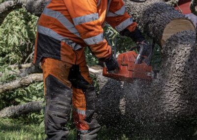 A lumberjack cuts a tree with a chainsaw.